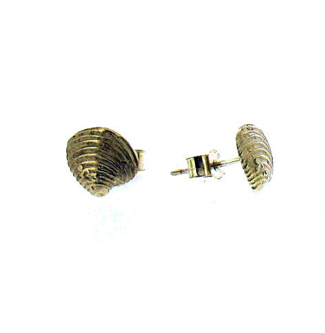 Silver Venus Shell Stud Earring AS3-10