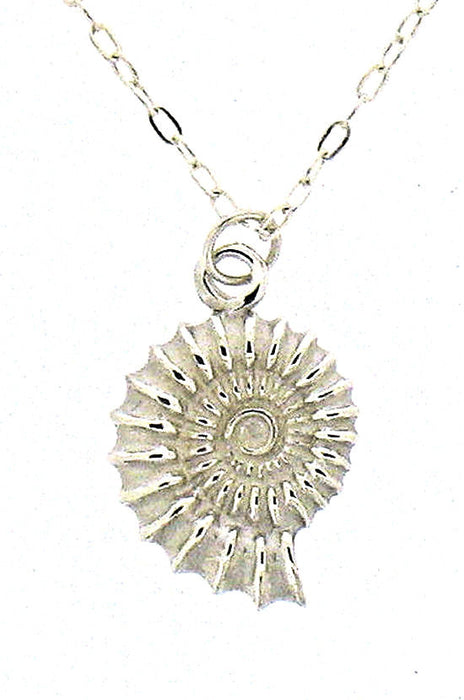 Silver Ammonite Pendant On Chain NP23
